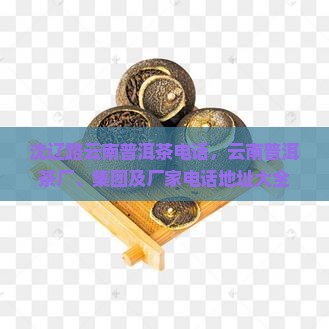 沈辽路云南普洱茶电话