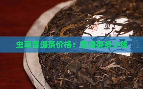 素虫草普洱茶多少钱