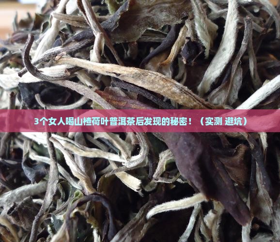 山楂荷叶普洱茶的功效