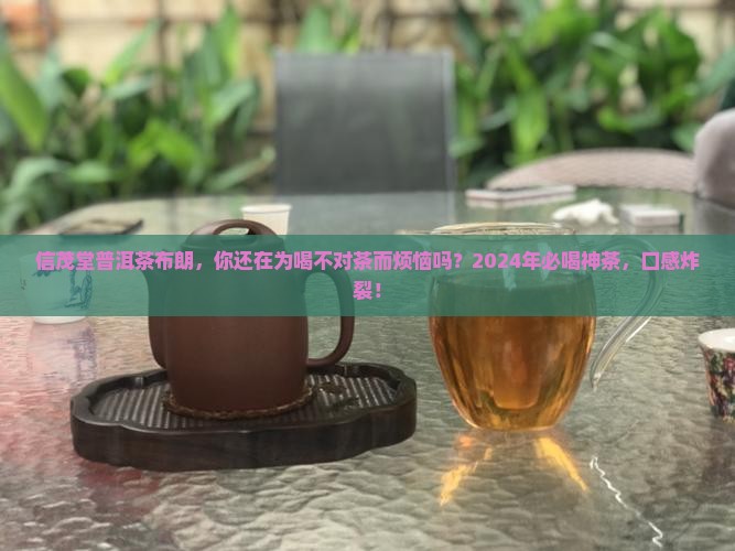 信茂堂普洱茶布朗