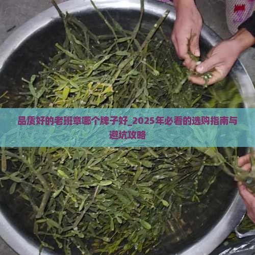 品质好的老班章哪个牌子好