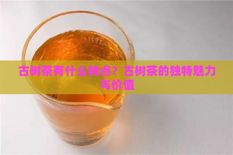 古树茶有什么特点