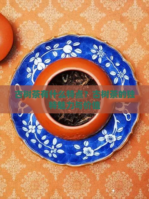 古树茶有什么特点