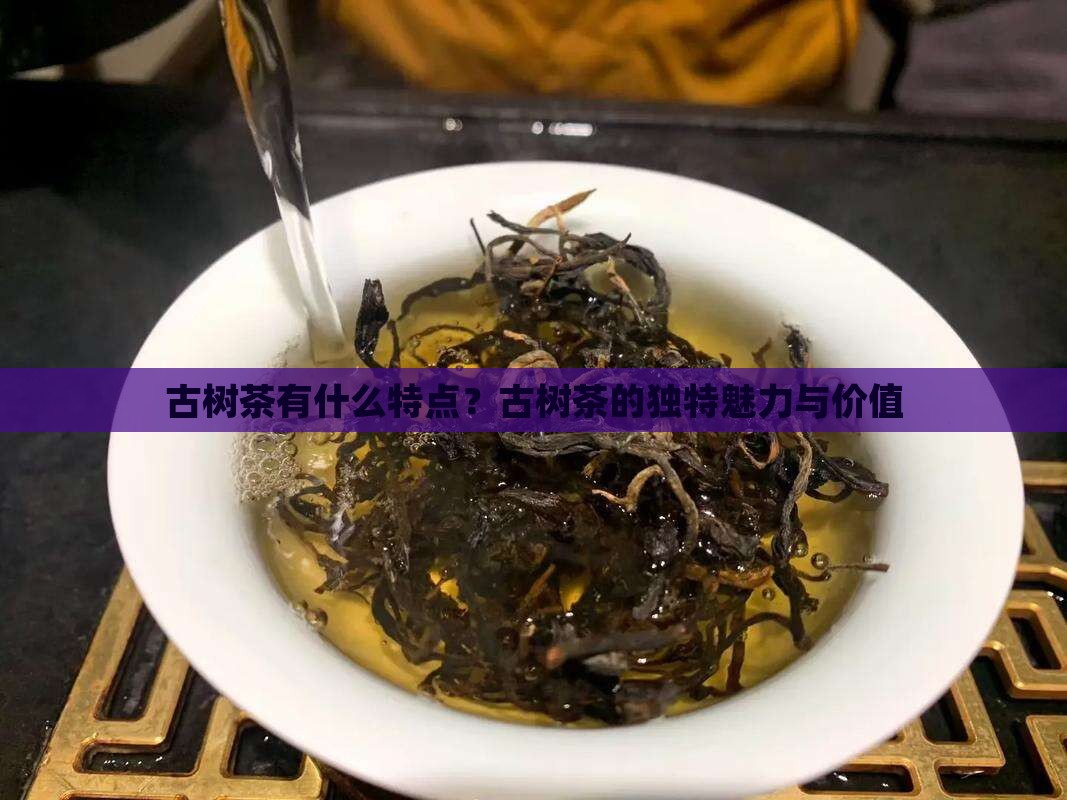 古树茶有什么特点