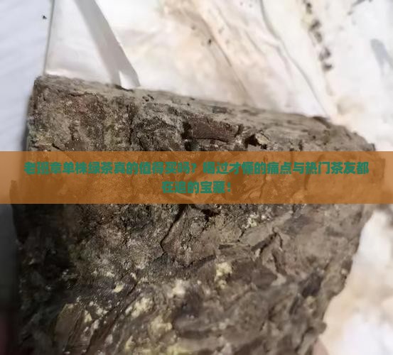 老班章单株绿茶