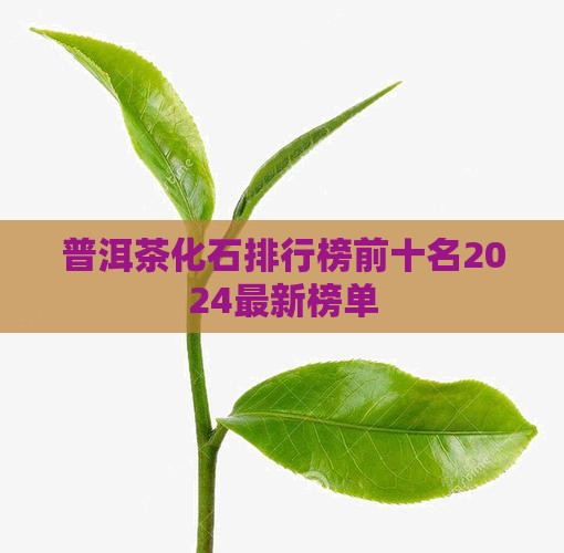 普洱茶化石品牌排行榜前十名