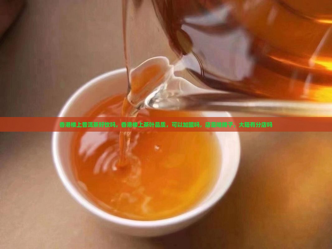 香港楼上普洱茶好饮吗
