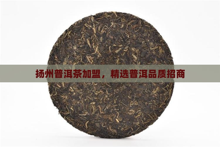 扬州有品质的熟普洱茶招商