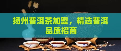扬州有品质的熟普洱茶招商