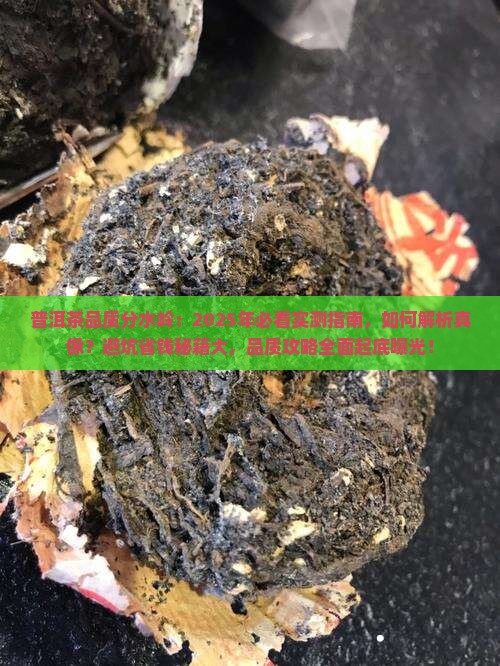 普洱茶品质分水岭