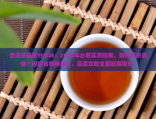 普洱茶品质分水岭