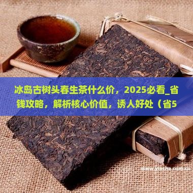 冰岛古树头春生茶什么价