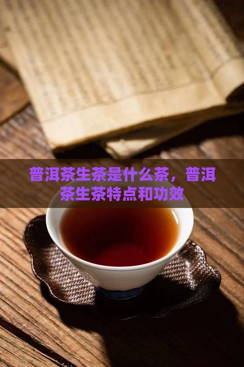 普洱茶生茶是什么茶
