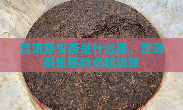 普洱茶生茶是什么茶