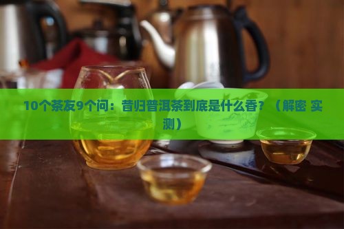 昔归普洱茶属于什么香