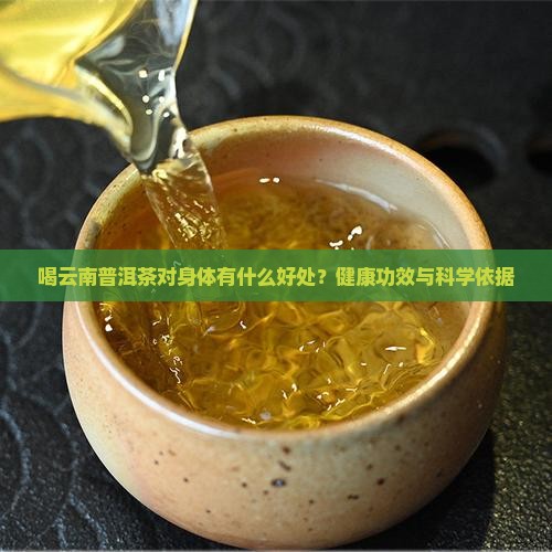 喝云南普洱茶对身体有什么好处
