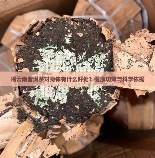 喝云南普洱茶对身体有什么好处
