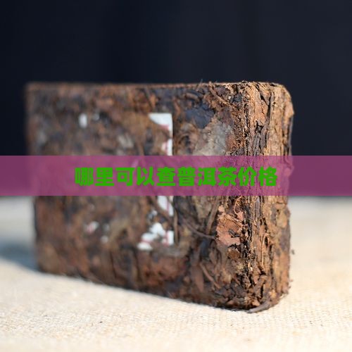 哪里可以查普洱茶价格