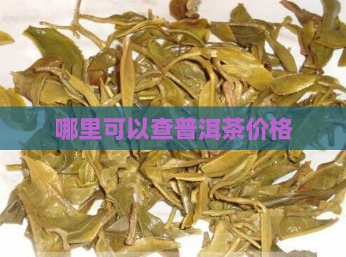哪里可以查普洱茶价格