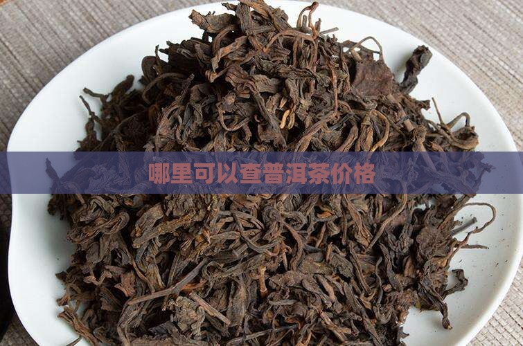 哪里可以查普洱茶价格