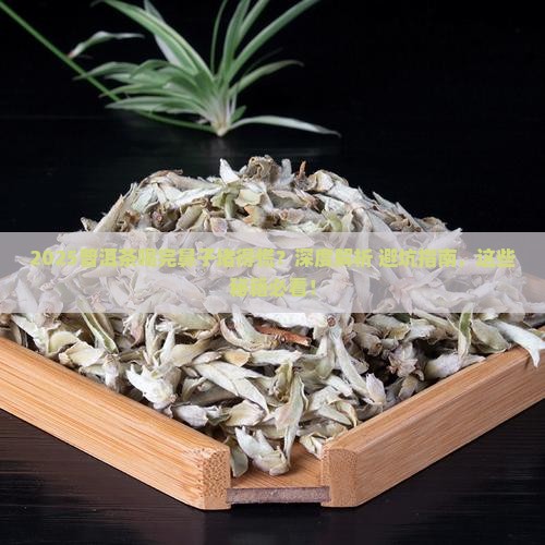 喝普洱茶鼻子堵的厉害咋办