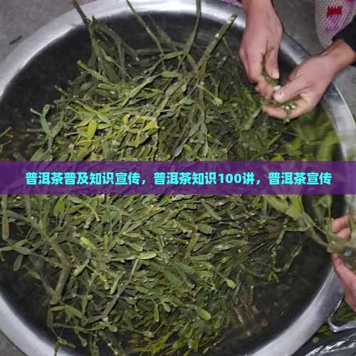 普洱茶普及知识宣传