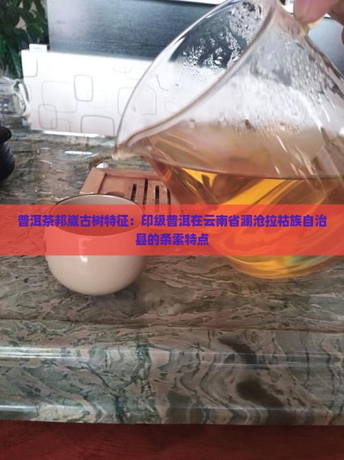 邦崴普洱茶的条索特征