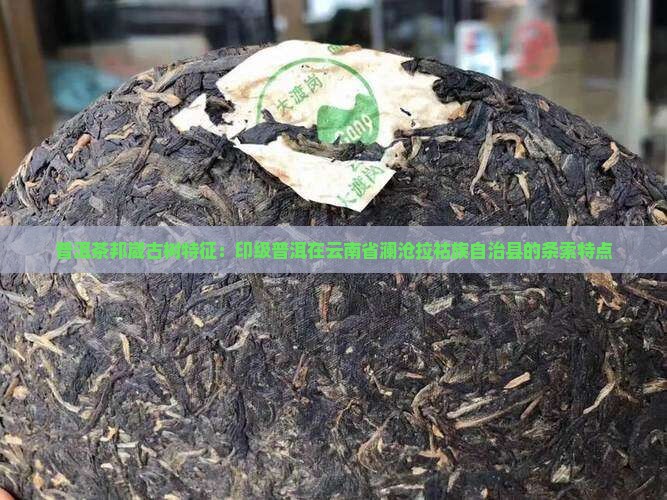 邦崴普洱茶的条索特征