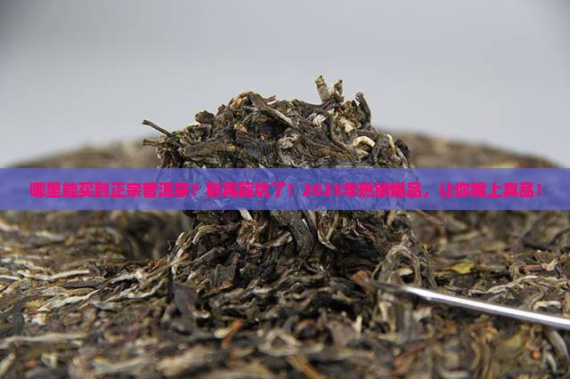 哪里能买到普洱茶正宗