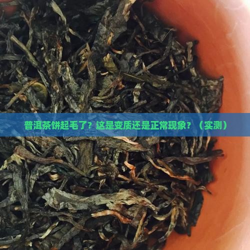 普洱茶饼外表起毛了