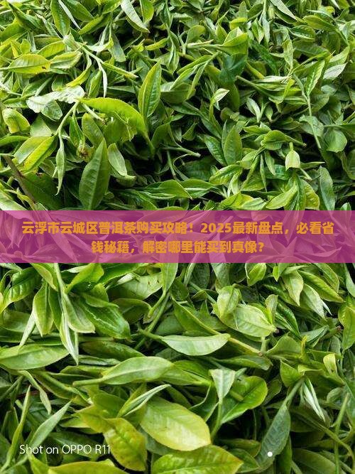 云浮市云城区有普洱茶吗