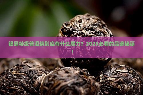 银毫特级普洱茶的特点