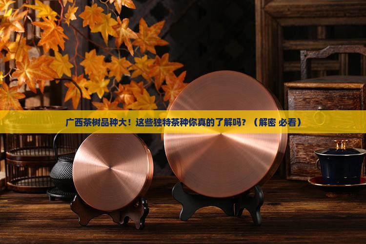 广西特有的茶树品种