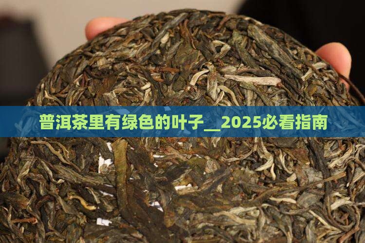 普洱茶里有绿色的叶子