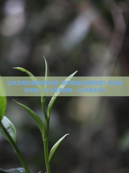 兰州正规的老班章茶叶店