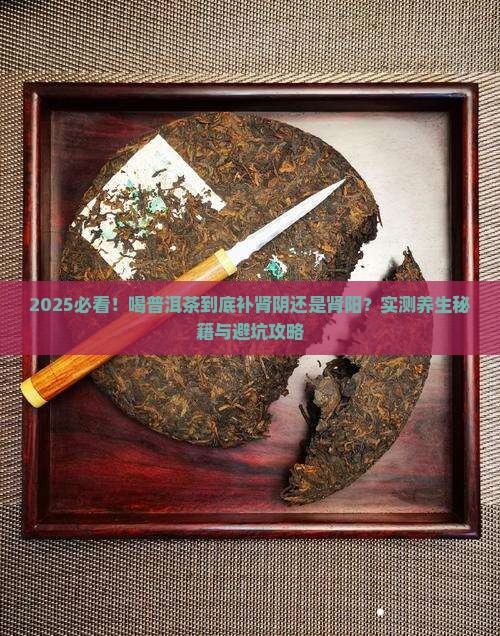 喝普洱茶是治肾阴还是肾阳