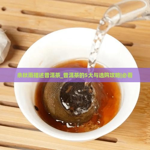 余秋雨描述普洱茶