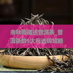 余秋雨描述普洱茶