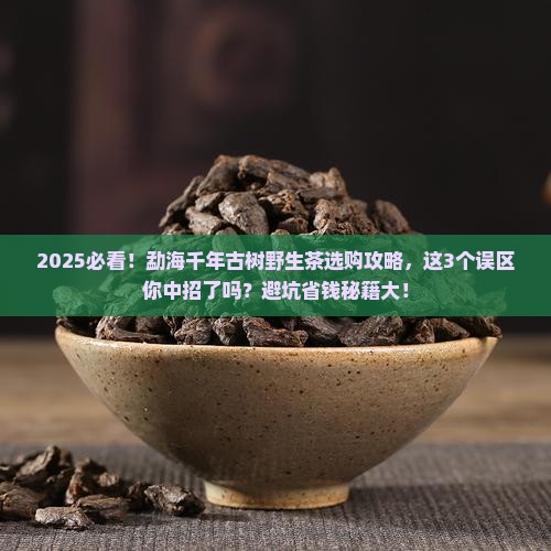 勐海千年古树野生茶