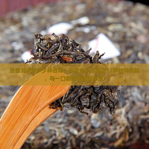 熟普洱茶有多少种香味