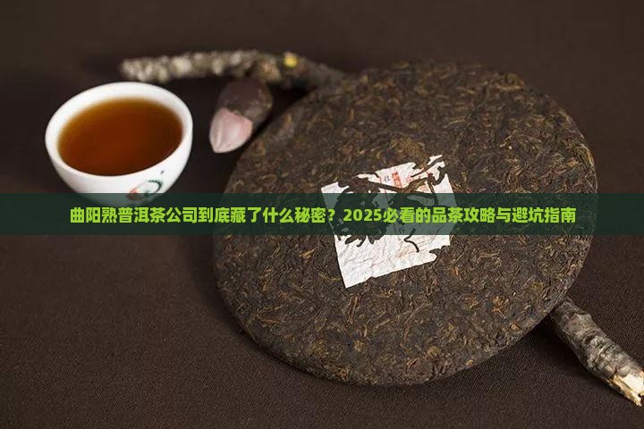 曲阳熟普洱茶公司
