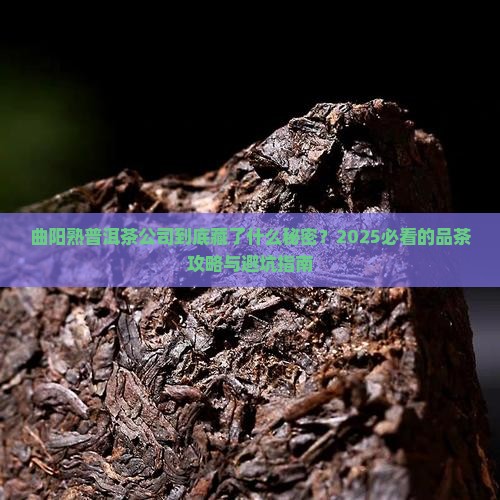 曲阳熟普洱茶公司
