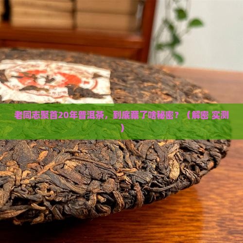 老同志相聚20年普洱茶