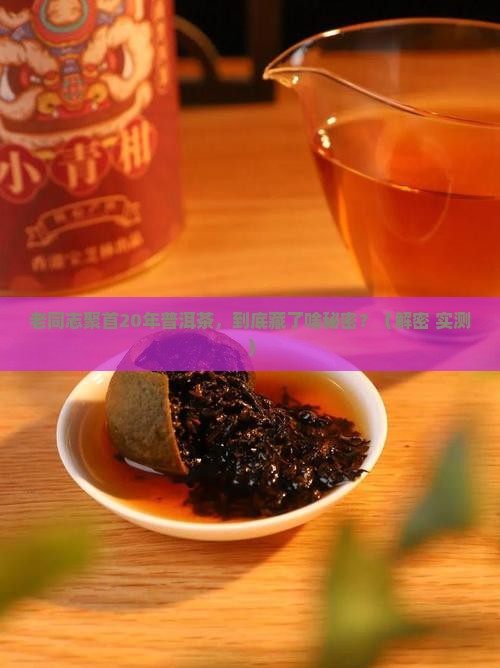 老同志相聚20年普洱茶