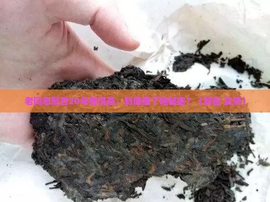 老同志相聚20年普洱茶