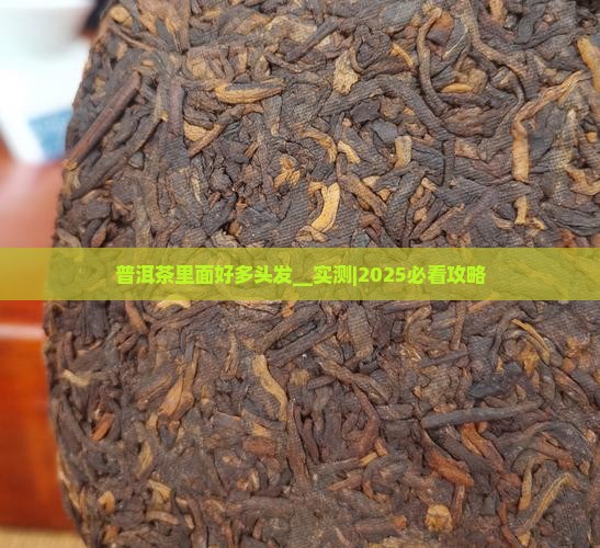 普洱茶里面好多头发