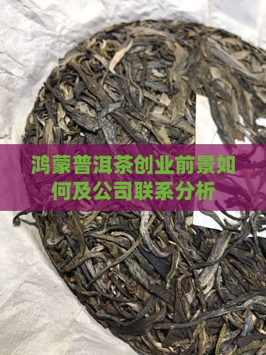 鸿蒙普洱茶创业前景 鸿蒙普洱茶创业前景