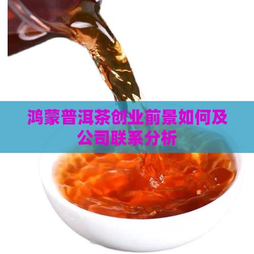 鸿蒙普洱茶创业前景 鸿蒙普洱茶创业前景