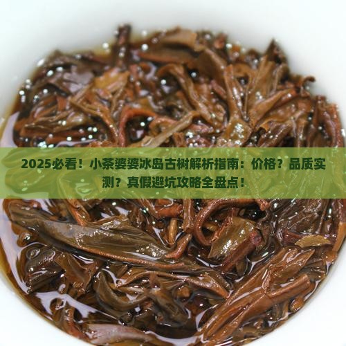 小茶婆婆冰岛古树 小茶婆婆冰岛古树