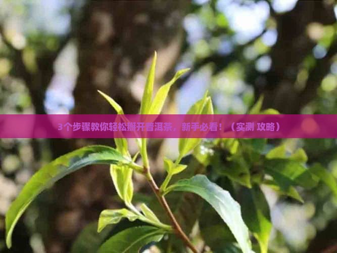 普洱茶怎么掰下来